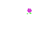 Araj fashion